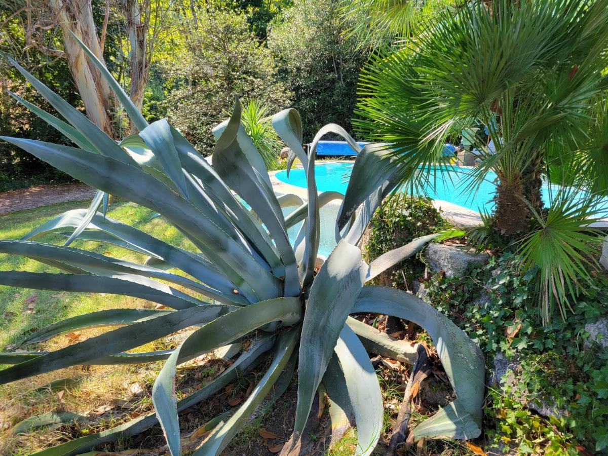Le Temps Des Cerises Hotel Genolhac Bagian luar foto